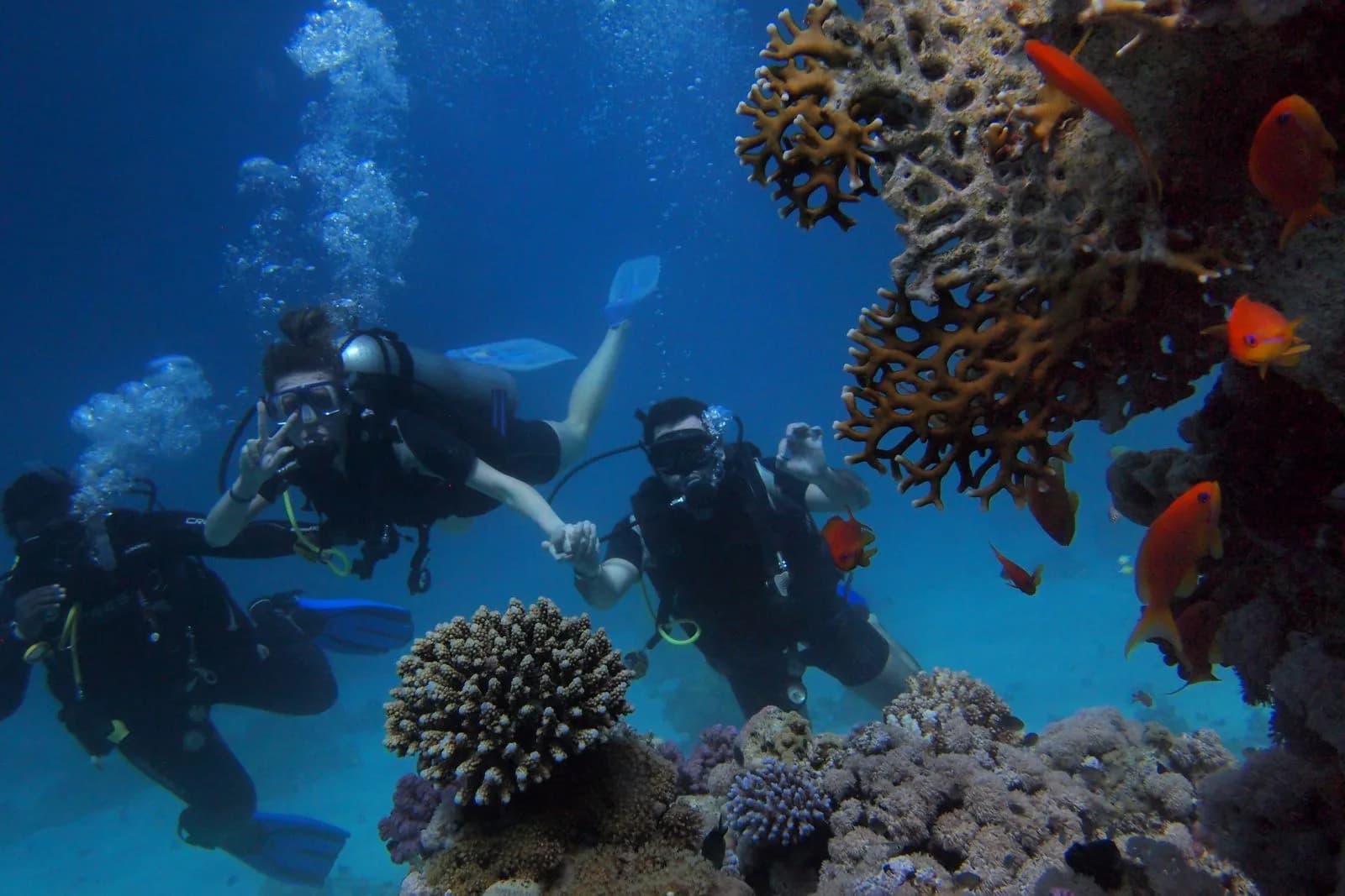 Three scuba divers swimming by a coral reef