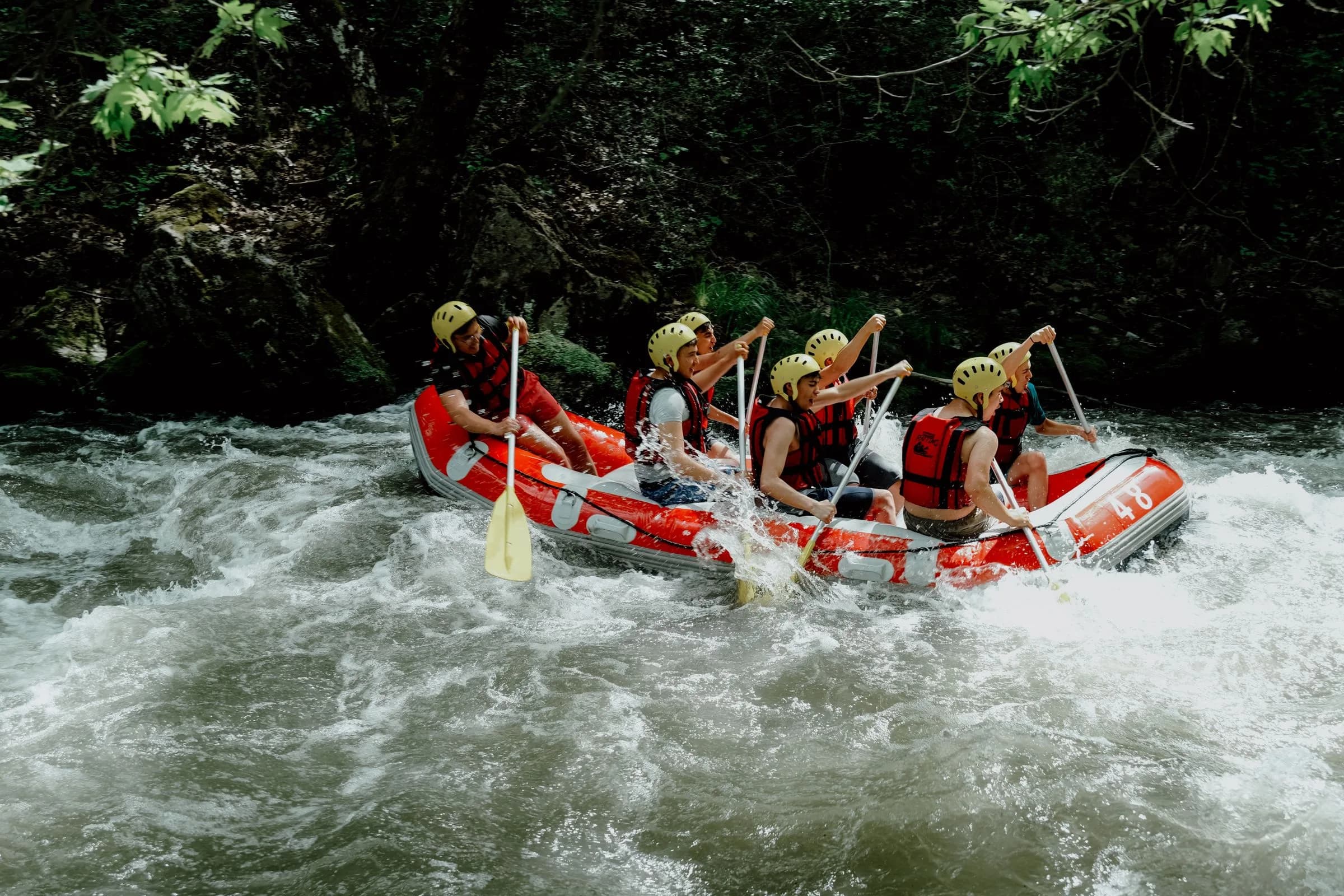 Raft in whitewater through a green forest
