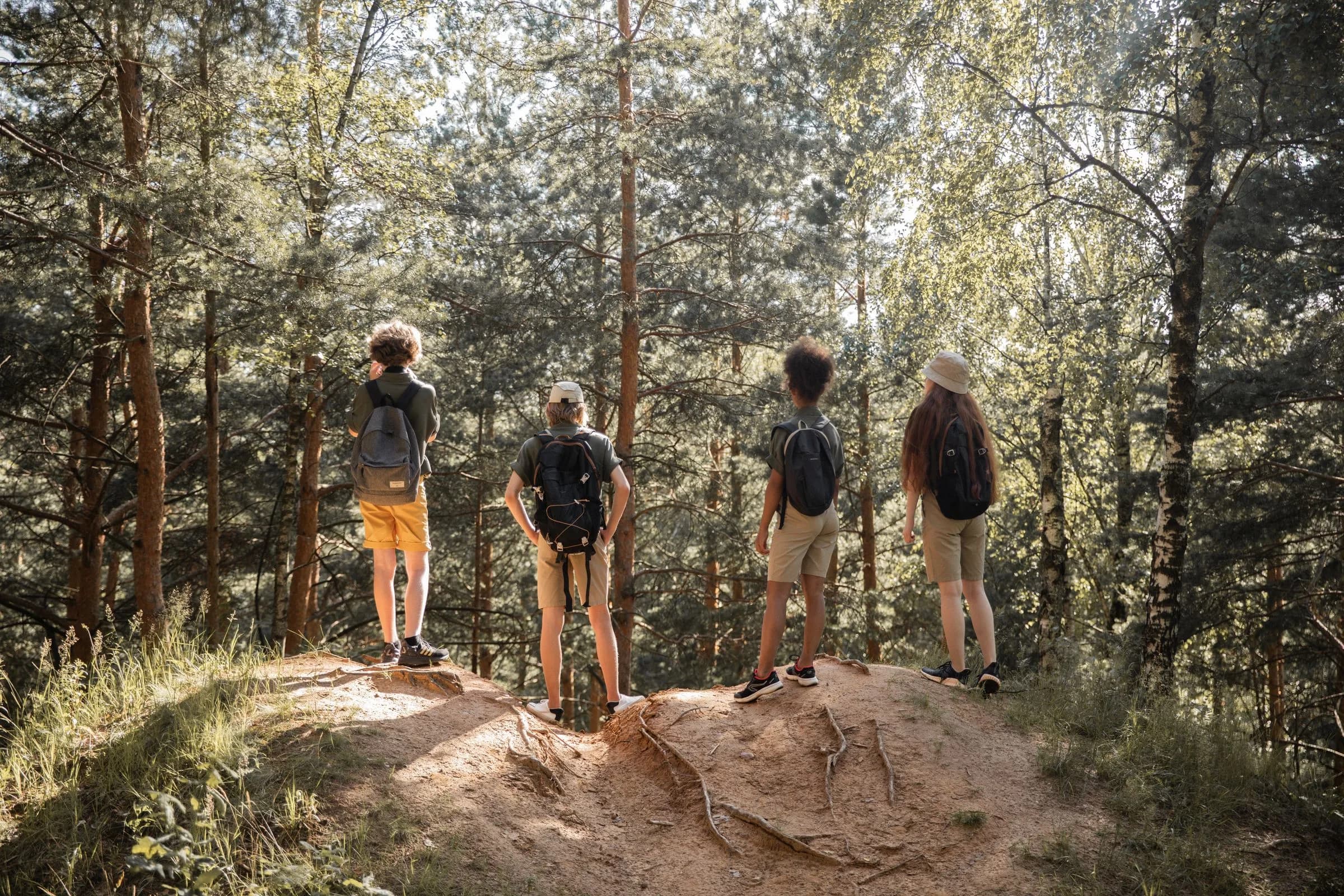Hikers on a wooded hilltop, backs to camera